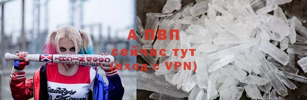 ешки Арсеньев
