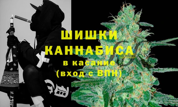 ешки Арсеньев