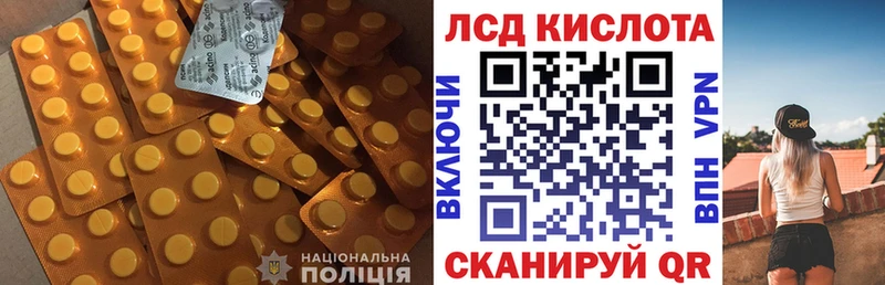 закладки  мориарти клад  ЛСД экстази ecstasy  Светлоград 