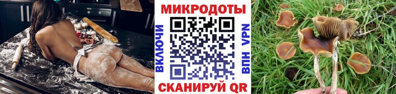 Псилоцибиновые грибы мухоморы  blacksprut сайт  Светлоград 